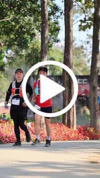 BIB:  <button type="button" onclick="openModal(27617521)" class="btn btn-primary btn-sm float-right" data-toggle="modal" data-target=".modal-high-quality">
                <i class="fa fa-download"></i> Download
                </button>